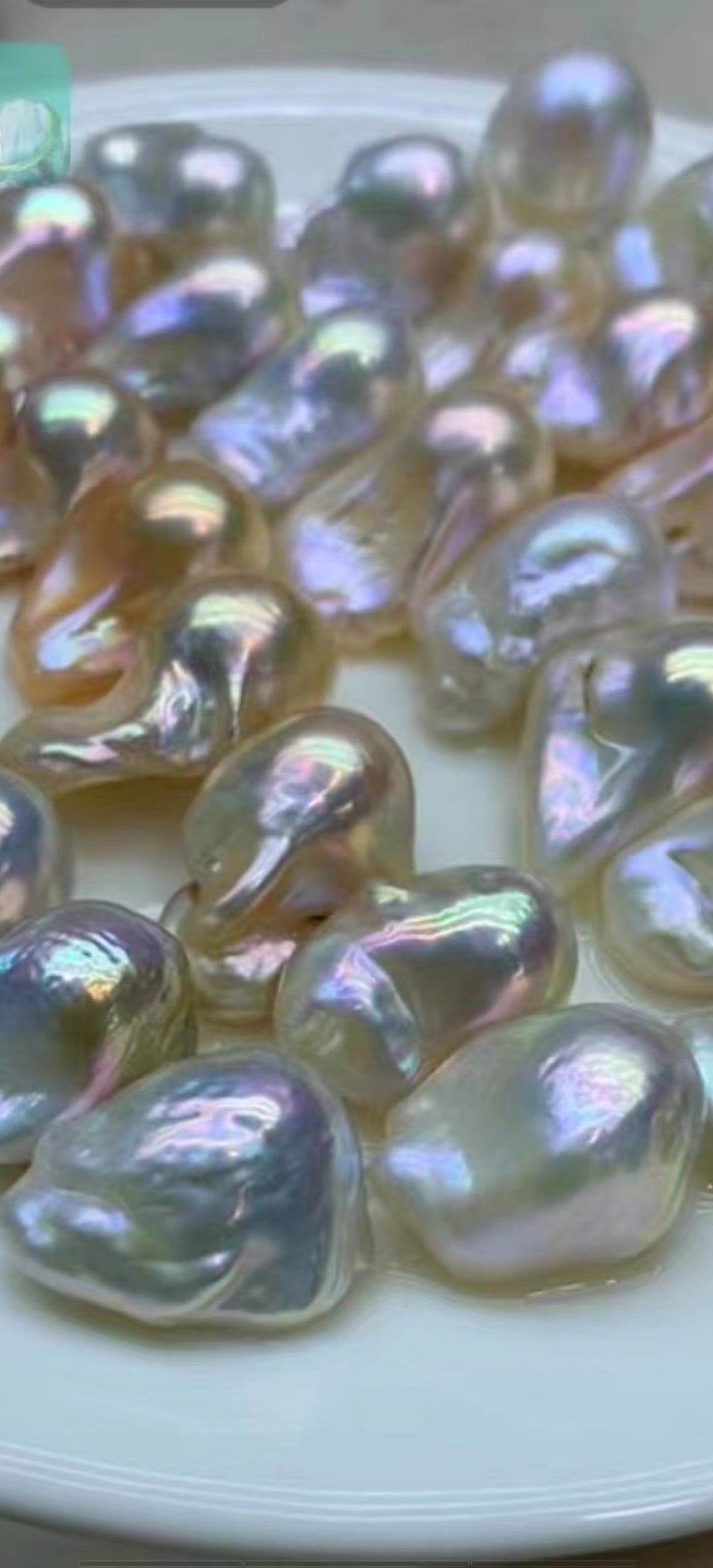 【Live-Gary】Ice Queen Legend Baroque pearl clam (1-3 Baroque pearls+1 edison pearl)