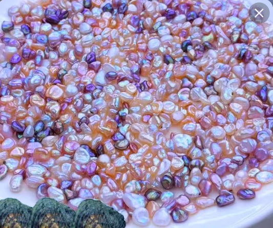 【Live-Gary】Keshi Pearl clam【8-15pics seedless pearl】