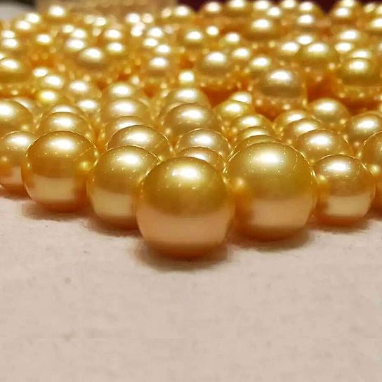 【Loose pearls】Southern Sea Golden pearls - high quality, various sizes (providing customized services)