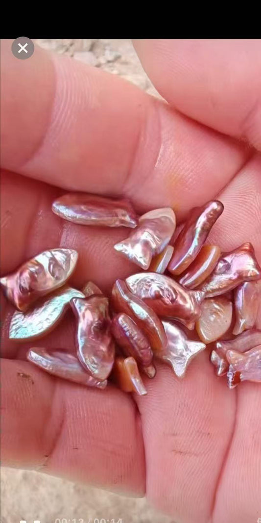 【Live-Gary】fish Baroque pearl clams(3-6 pcs fish pearls+1 Edison pearl)