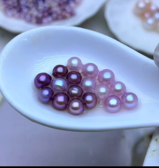 【Live-Gary】King Caviar Clam (15-25pic+1-2 Edison Pearl)