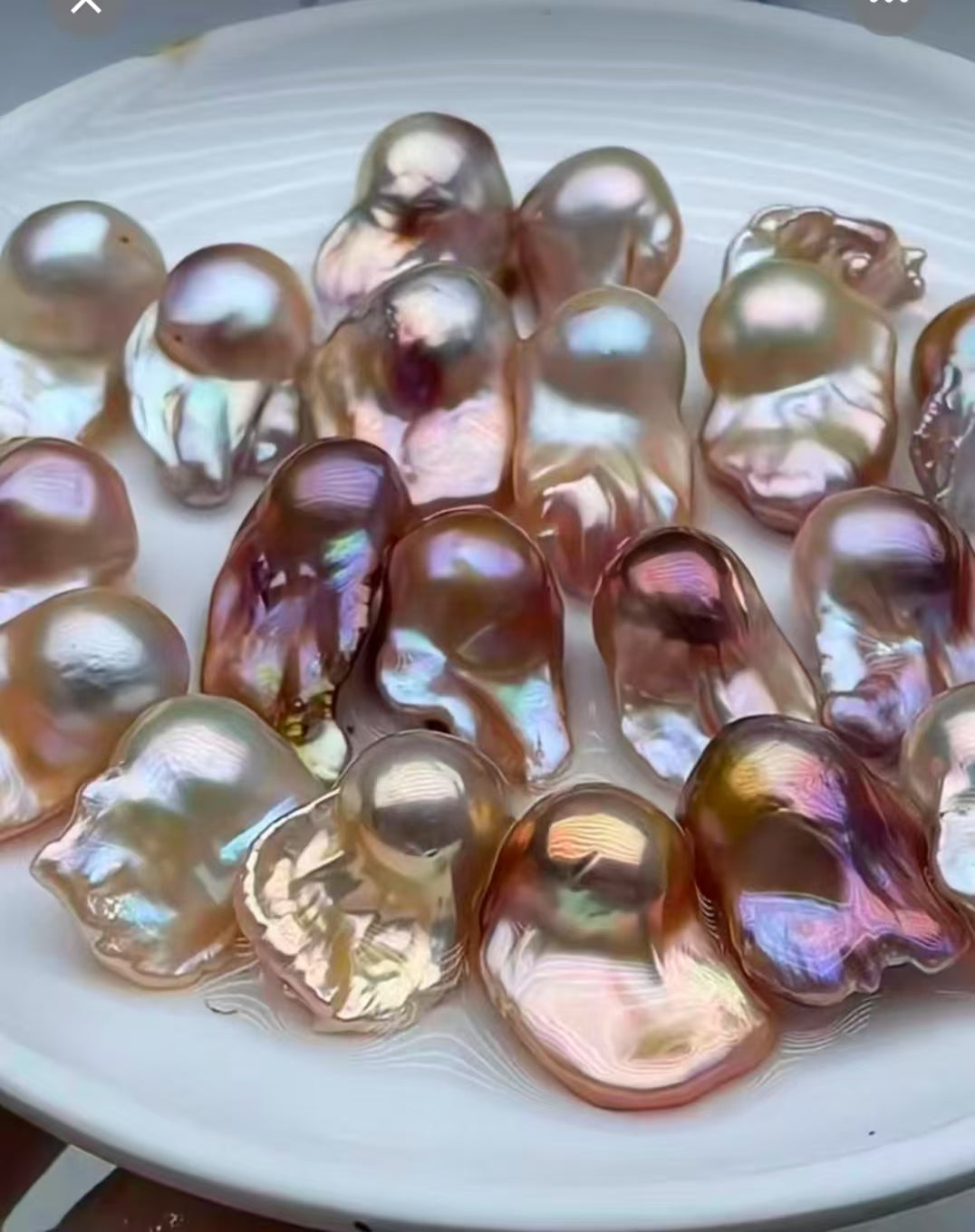 【Live-Gary】Super Legend Baroque pearl clam (2pics, Normally 25-38cm)