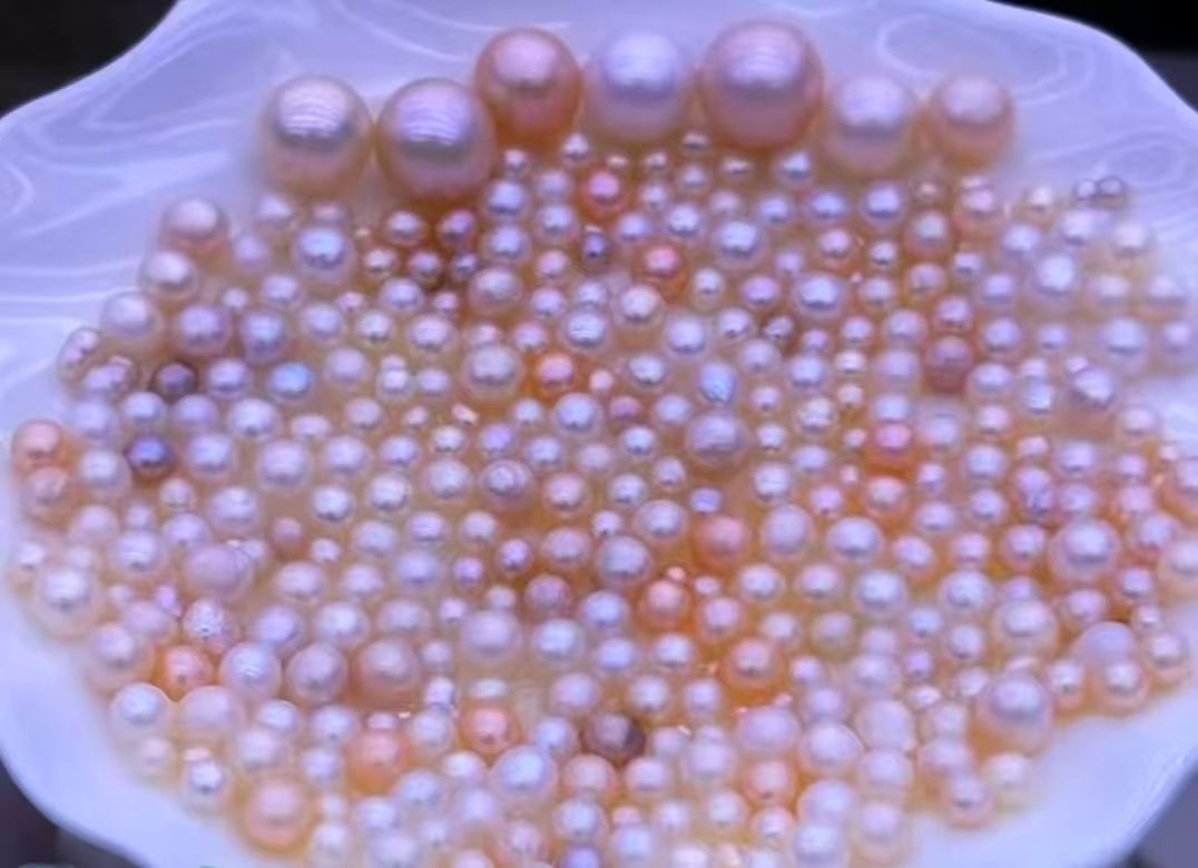 【Live-Gary】Ice Pinky King Freshwater Akoya Clam (have chance to get pinky ak)