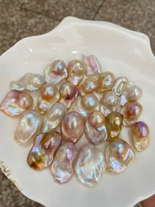 【Live-Gary】Wide Tail legend Pearl clam【1-2 Legend pearl】