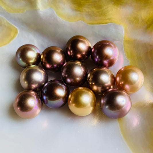 【Live-Gary】Blueberry Edison Pearl oyster (5-6 year oyster with one 10-15mm Edison pearl)